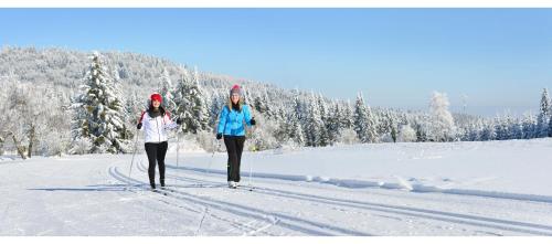 two women are cross country skiing in the snow at Ferienhaus Grobauer in Schwarzenberg am Bohmerwald