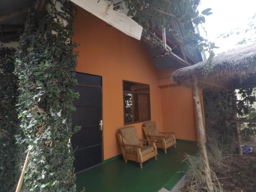 a house with two chairs and a tree at East Homestay in Boma la Ngombe