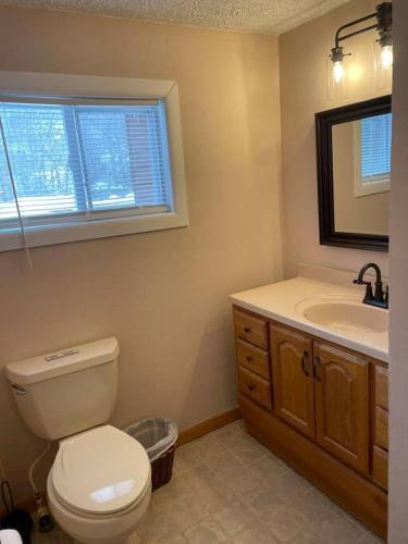 a bathroom with a toilet and a sink and a mirror at Cozy Cabin By the Slopes in McHenry