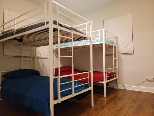 Gallery image of Rooster Hostel in Tampa
