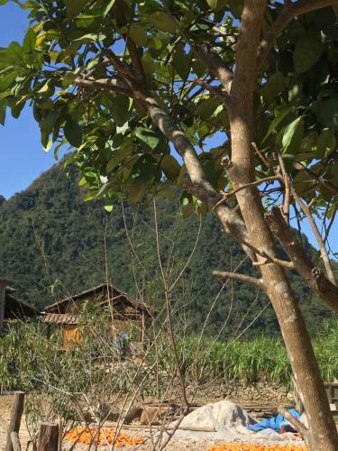 Gallery image of Hoàng Thái HomeStay in Cao Bằng