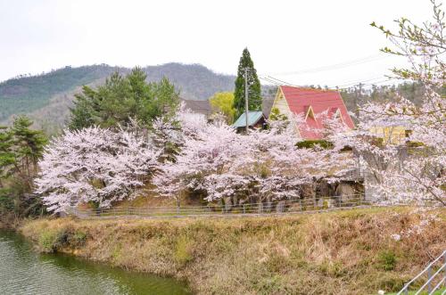 a house with flowering trees next to a river at ホテル白竜湖リゾート in Mihara