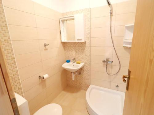 Koupelna v ubytování Apartments Nodilo - Standard One Bedroom Apartment with Balcony and Sea View Apt 2