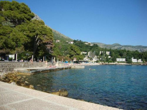 Naturlandskabet i nærheden af lejligheden