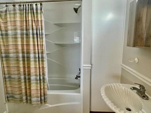a bathroom with a shower and a sink at Sunflower Mama in St. George Island