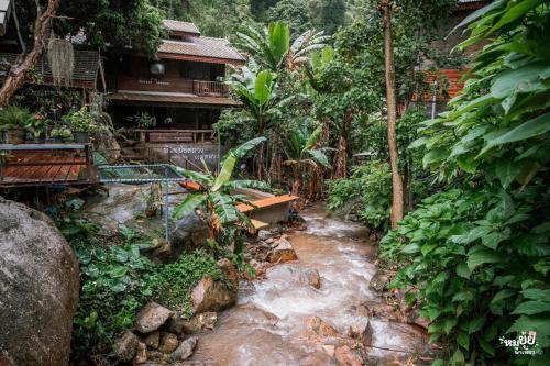 a stream in front of a house in a forest at บ้านป้อหลวงแม่หลวง แม่กำปอง Baanporluangmaeluang Maekampong in Chiang Mai