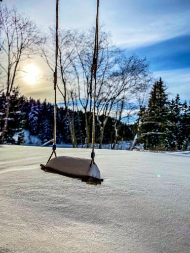 a swing in a field with the sun in the background at Ferienhaus am See mit Sauna und Whirlpool in Wienerbruck