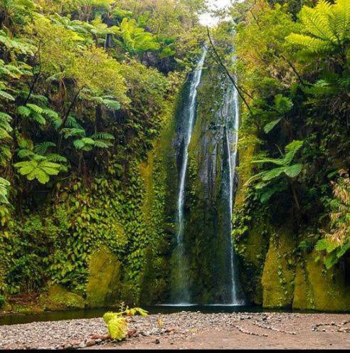 a waterfall in the middle of a forest at Tanna Lava View Bungalows in Lénakel