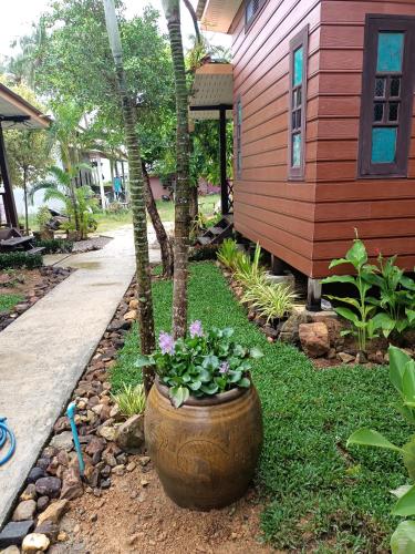 a plant in a large pot in front of a house at DD Beach Houses in Phra Ae beach