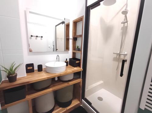 a bathroom with a sink and a shower at Plein centre- 90m Cathédrale - 2ch - 4 couchages - 6 personnes in Amiens