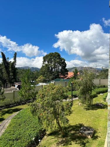 a view of a garden with a tree in the grass at Bristle Ridge Bluebird 103 Baguio City in Baguio