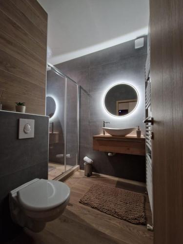 a bathroom with a toilet and a sink and a mirror at Apartment Luxury B in Slavonski Brod