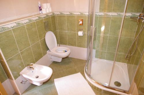 a bathroom with a toilet and a shower and a sink at Ubytování a apartmány Sluníčko in Lomnice nad Lužnicí