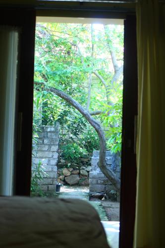 Κήπος έξω από το Three V Homestay