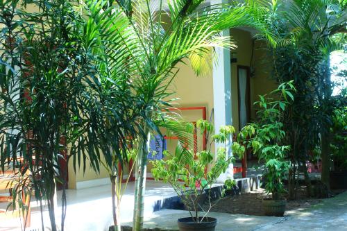 Κήπος έξω από το Three V Homestay