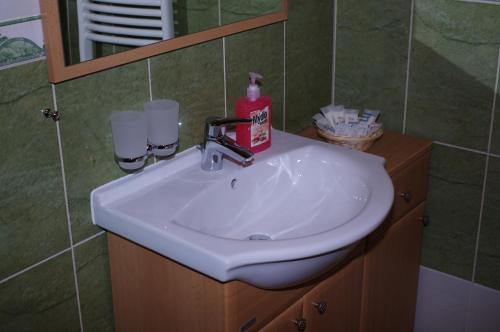 a bathroom sink with a bottle of soap on it at Ubytování a apartmány Sluníčko in Lomnice nad Lužnicí
