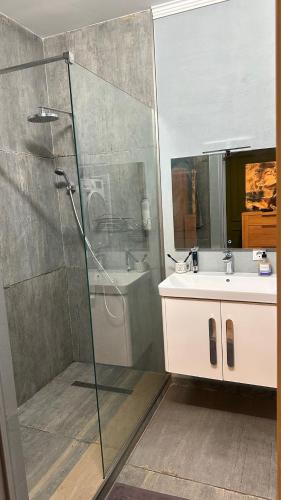 un baño con ducha y lavabo en Sky House, en Chişinău