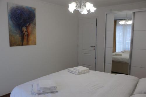 a bedroom with a bed with a painting on the wall at Apartmani Grot Pale in Pale