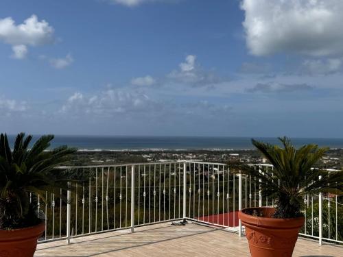 a view of the ocean from a balcony with two plants at Hotel VistaMare in Pozzuoli