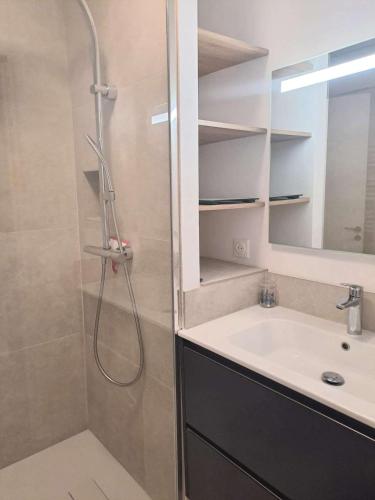 une salle de bain avec douche et lavabo dans l'établissement Marcogdu- Proche de Saint-Tropez Appartement pour 4 personnes avec vue sur la marina, à Cogolin