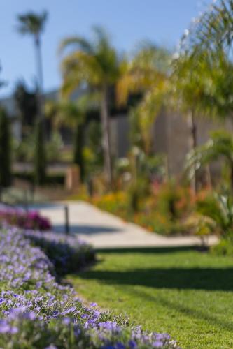 a garden with purple flowers and a sidewalk at Maravilla Luxury Living in Kos Town