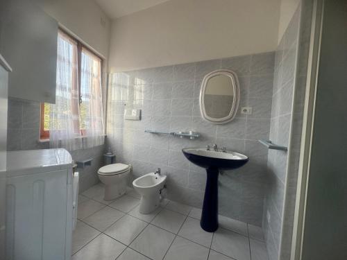 a bathroom with a sink and a toilet and a mirror at Sa domo manna in Porto Ottiolu