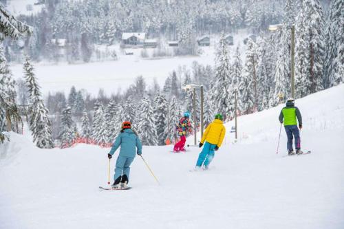 HolisevaにあるSafiiriの雪に覆われた斜面をスキーで滑降する人々のグループ
