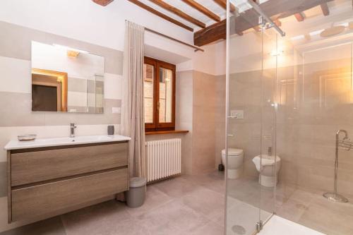a bathroom with a sink and a shower and a toilet at L'Olivazzo Apartment in Chiusi