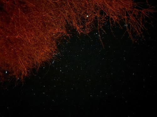 a night sky filled with stars at Marigold Home Stay in Jaisalmer