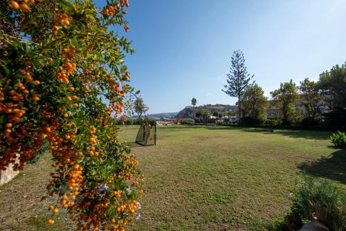 Κήπος έξω από το Ismini Apartments