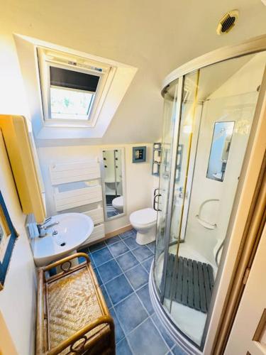 une salle de bain avec un lavabo, une douche et des toilettes dans l'établissement Propriété historique La Joséphine 1828, à La Barre-de-Monts