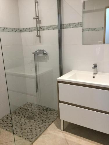 une salle de bain avec douche et lavabo dans l'établissement Large family home with private pool in Vignères, 10 sleeps., à Cavaillon