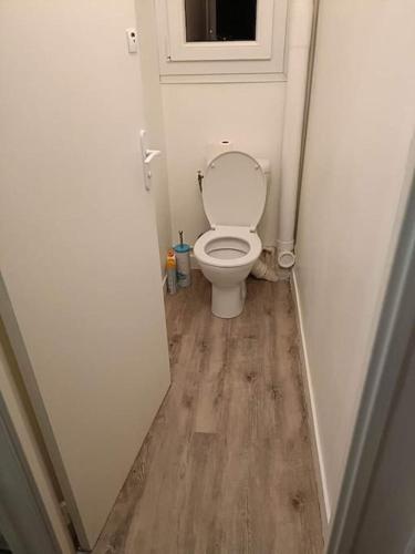 une petite salle de bains avec toilettes dans le couloir dans l'établissement Appartement 3 chambres - Drapeau, à Dijon