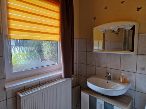 a bathroom with a sink and a window at Ferienwohnung Esther in Naila