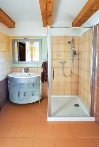 a bathroom with a shower and a sink at Chata Jožka in Vyšné Ružbachy
