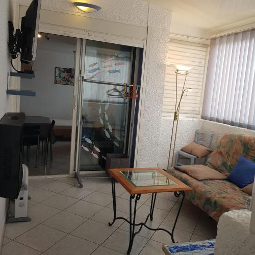 un salon avec un canapé et une table en verre dans l'établissement Appartement cosy LE BARCARES, au Barcarès