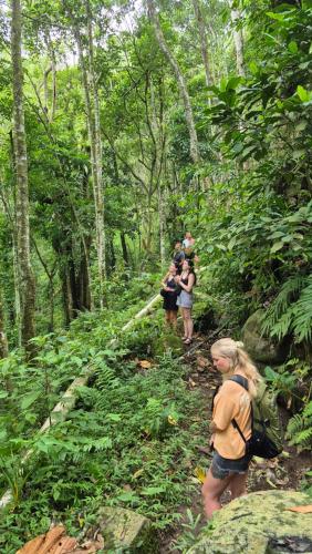 a group of people walking on a trail in the forest at Rice Field inn - Lombok in Tetebatu