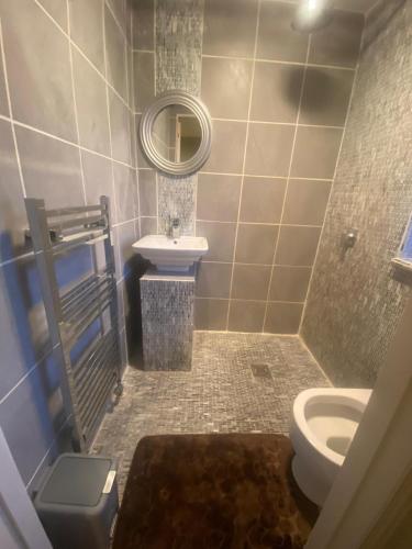 a bathroom with a toilet and a sink and a mirror at Harbury Lodge in Scotstoun West Station