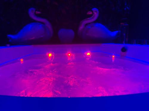 a hot tub with red lights and swans in it at 50m2 Suite in Capurso