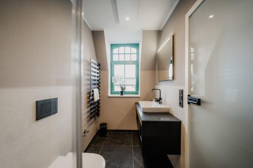 a bathroom with a sink and a toilet at Altes Gutshaus Klink in Klink