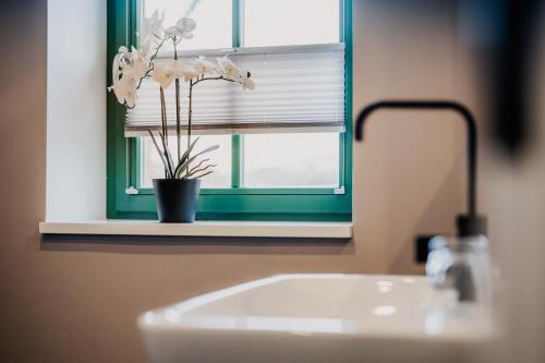 a bathroom with a sink and a window with a plant at Altes Gutshaus Klink in Klink