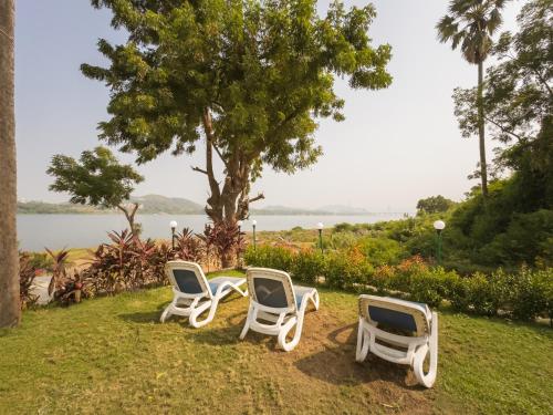 three chairs sitting in the grass next to a tree at RiverView Tent Resort in Kevadia