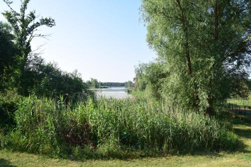 a field of grass with a river in the background at Land-gut-Hotel Seeblick in Klietz