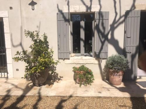 Gallery image of Provencal farmhouse, pool, pool house, countryside Plan d’Orgon, Provence - 8 people in Cavaillon