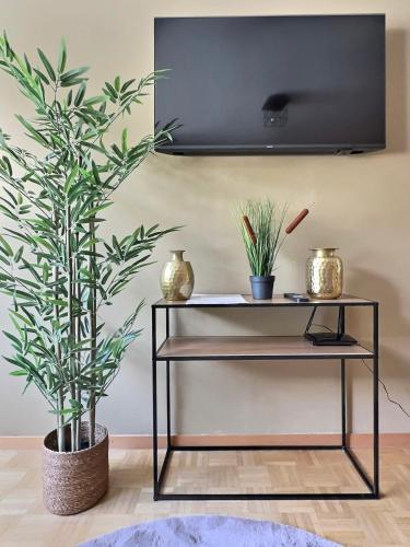 Μια τηλεόραση ή/και κέντρο ψυχαγωγίας στο Appartement Montreux terrasse vue lac