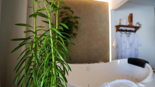 a green plant in a bathroom with a bath tub at Acesso à Praia Ar Condicionado Conforto Garantido! in Saquarema