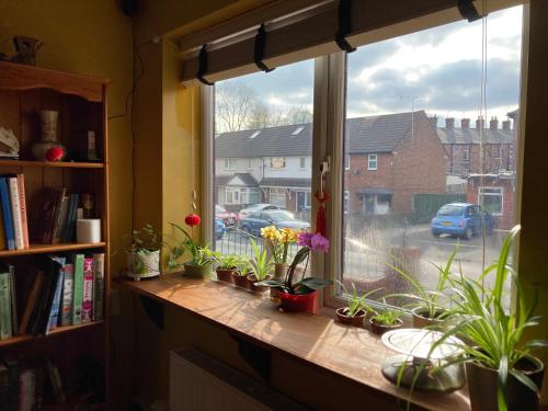 a window with potted plants on a window sill at BFamily-Jacks Court in Stalybridge