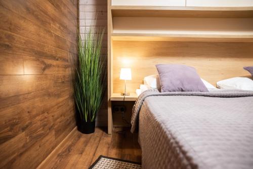 a bedroom with a bed and a potted plant at Solva Resort Medical & SPA in Polyana