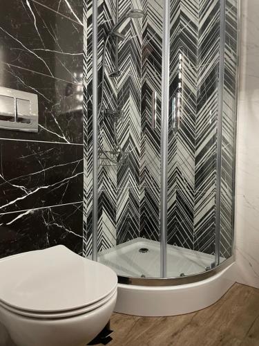 um banheiro com vaso sanitário e box de vidro em Silesia Blue2 Apartment - Katowice em Katowice