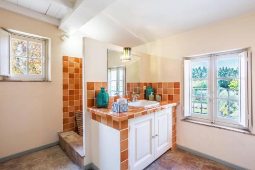 une salle de bain avec un lavabo et deux fenêtres dans l'établissement typical provençal farm house close to l'isle sur la sorgue - 12 persons, à Cavaillon